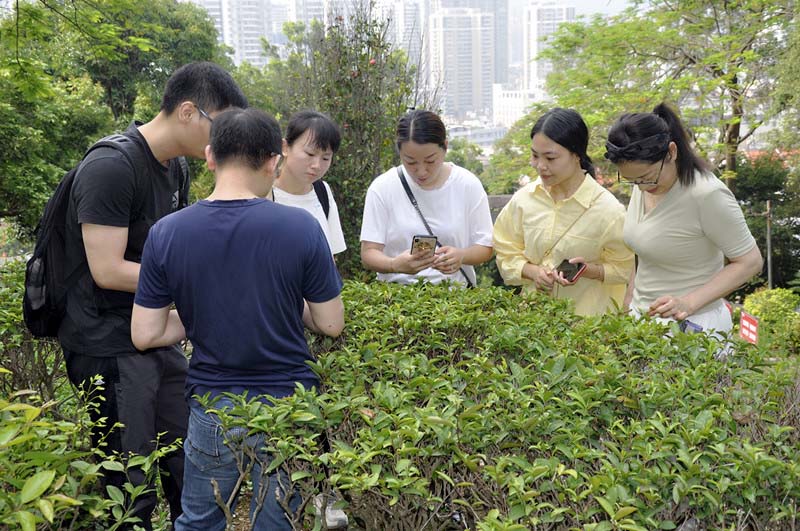 2025年7月茶艺师培训班报名与考试